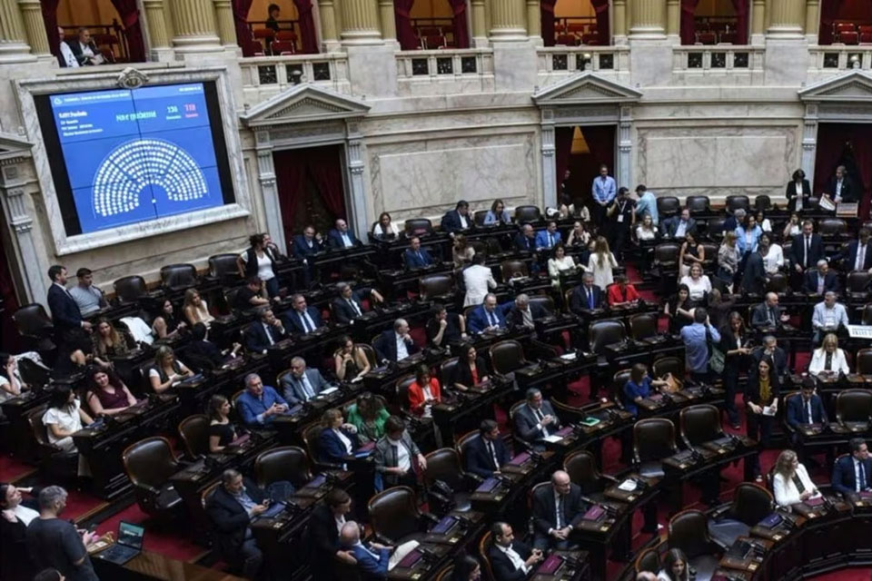 Discapacidad: media sanción en Diputados