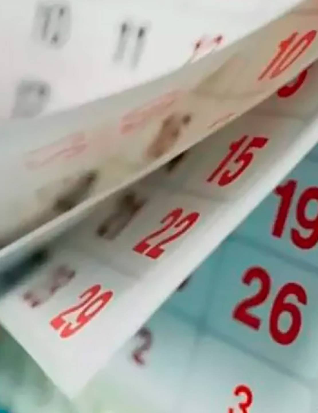 Feriados 2026: el Gobierno oficializó los tres días no laborables para este año