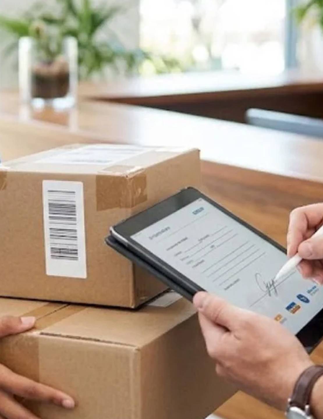 ARCA oficializó el nuevo régimen de compras internacionales por Correo Oficial: cuáles son los cambios