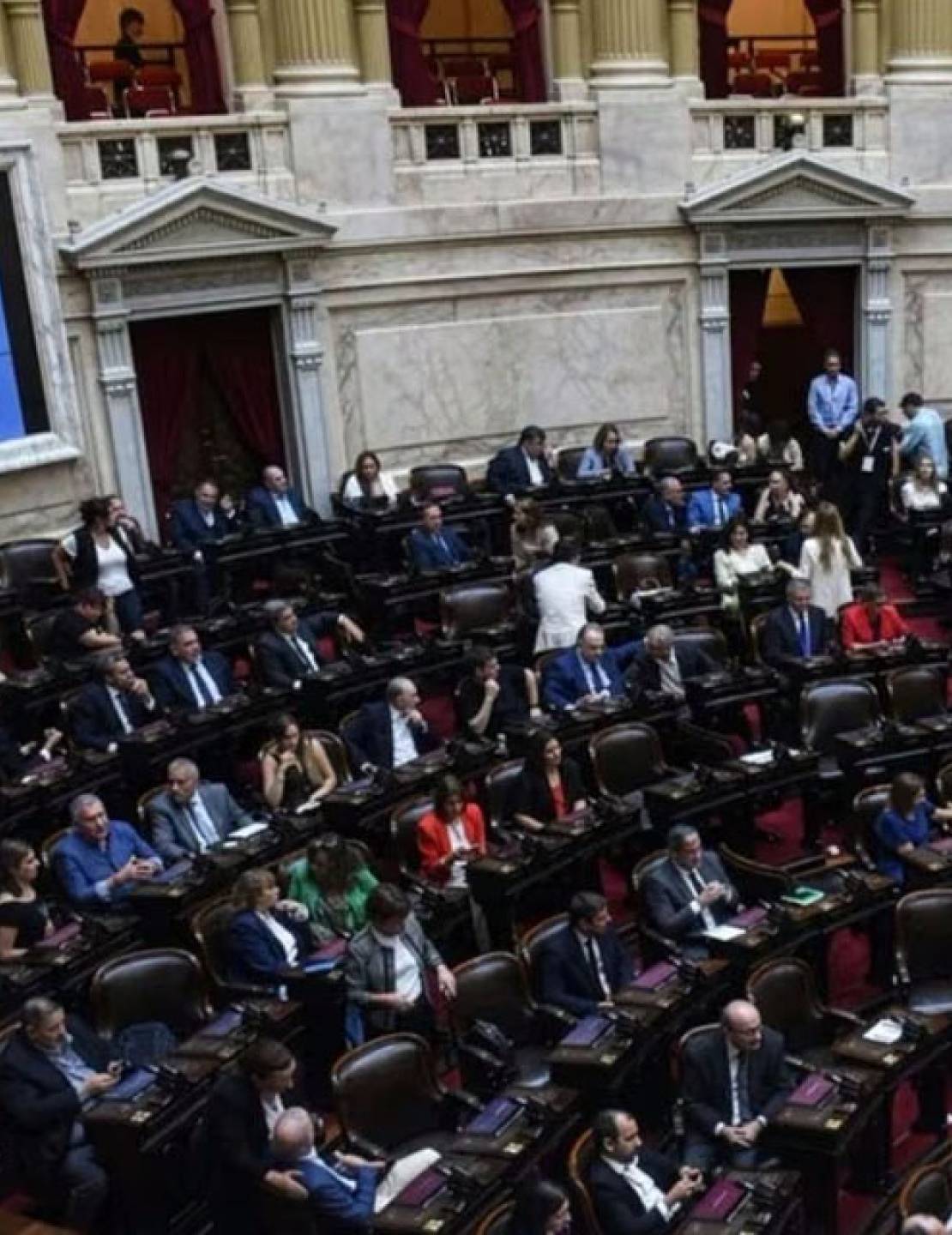 Discapacidad: media sanción en Diputados